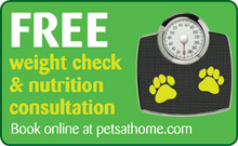 Free Nutrition Consultation
